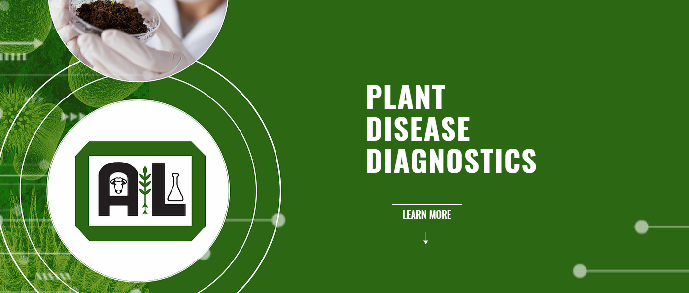 Plant Disease Diagnostic