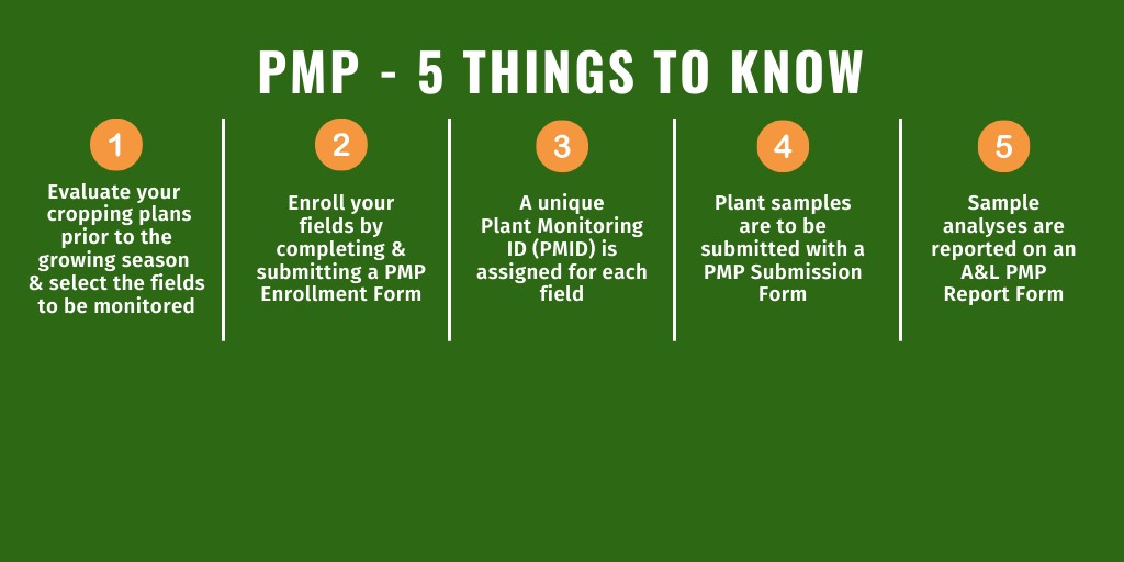 PMP - 5 things to know