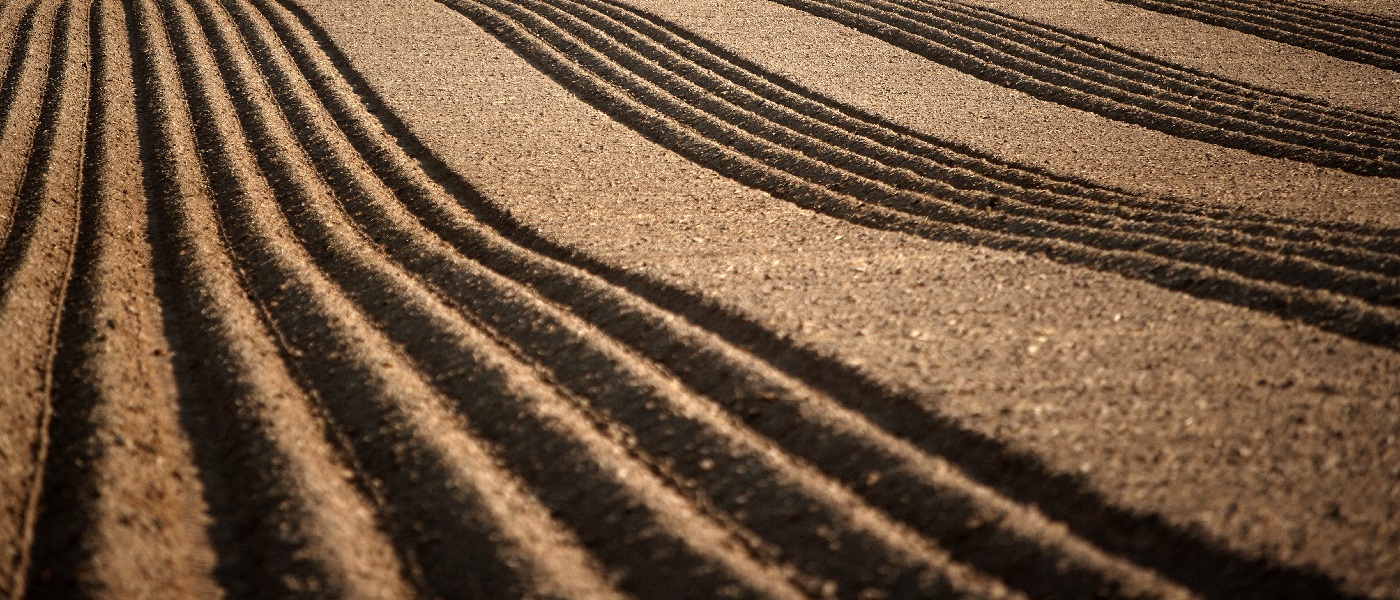 Soil Title Image