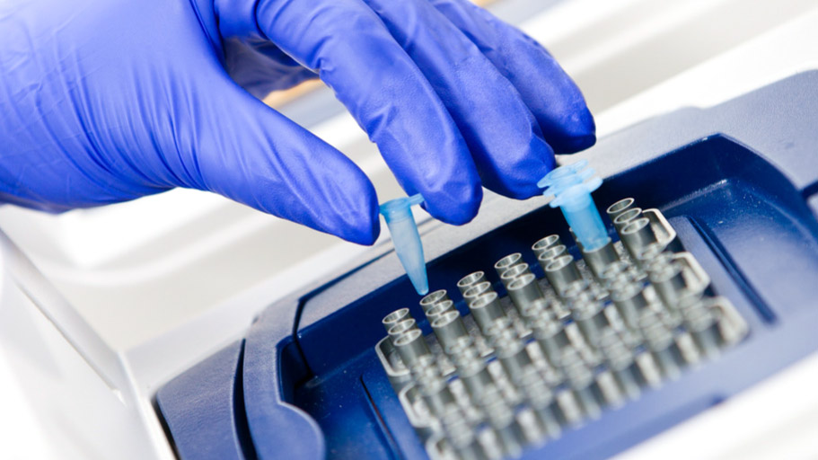 Crop Health, Disease Diagnostics, Testing, Diagnostics, Disease