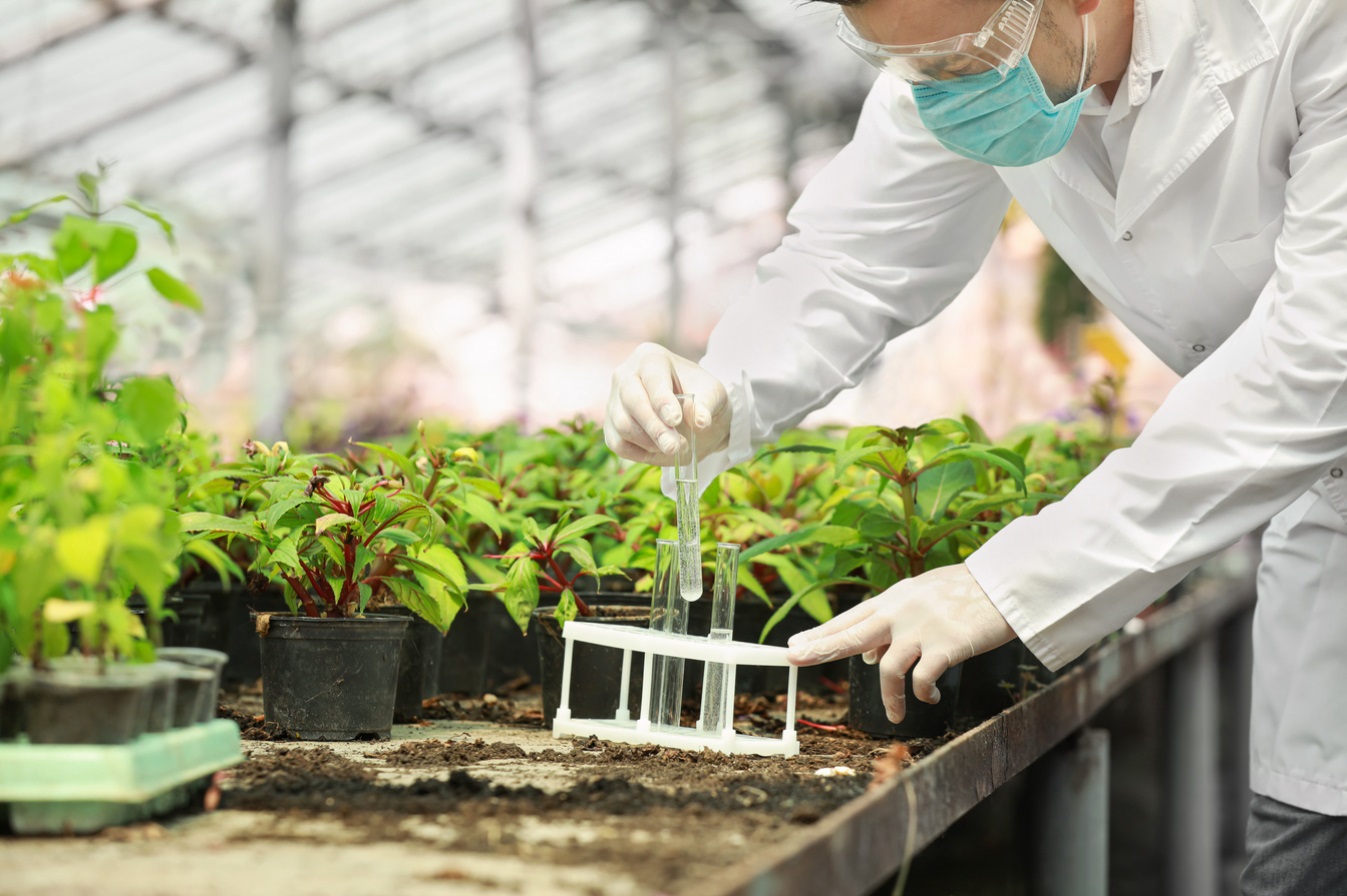 Environmental Testing, Agriculture, Water Testing, Compost Testing, Soil Analysis, Greenhouse