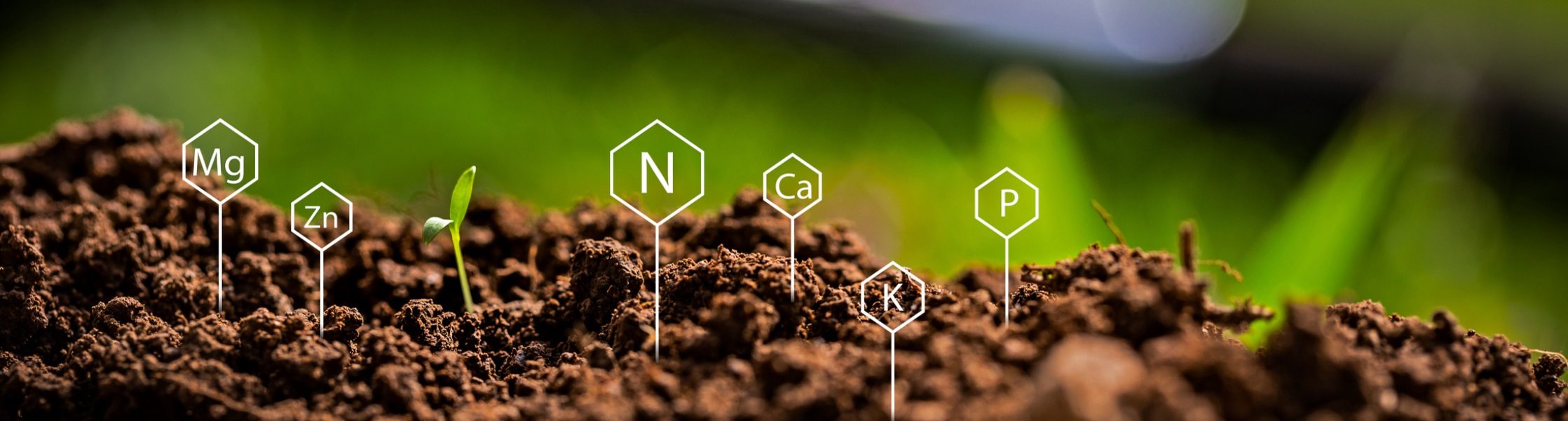 Soil Nutrients Soil Analysis, Soil Testing, Soil Nutrients